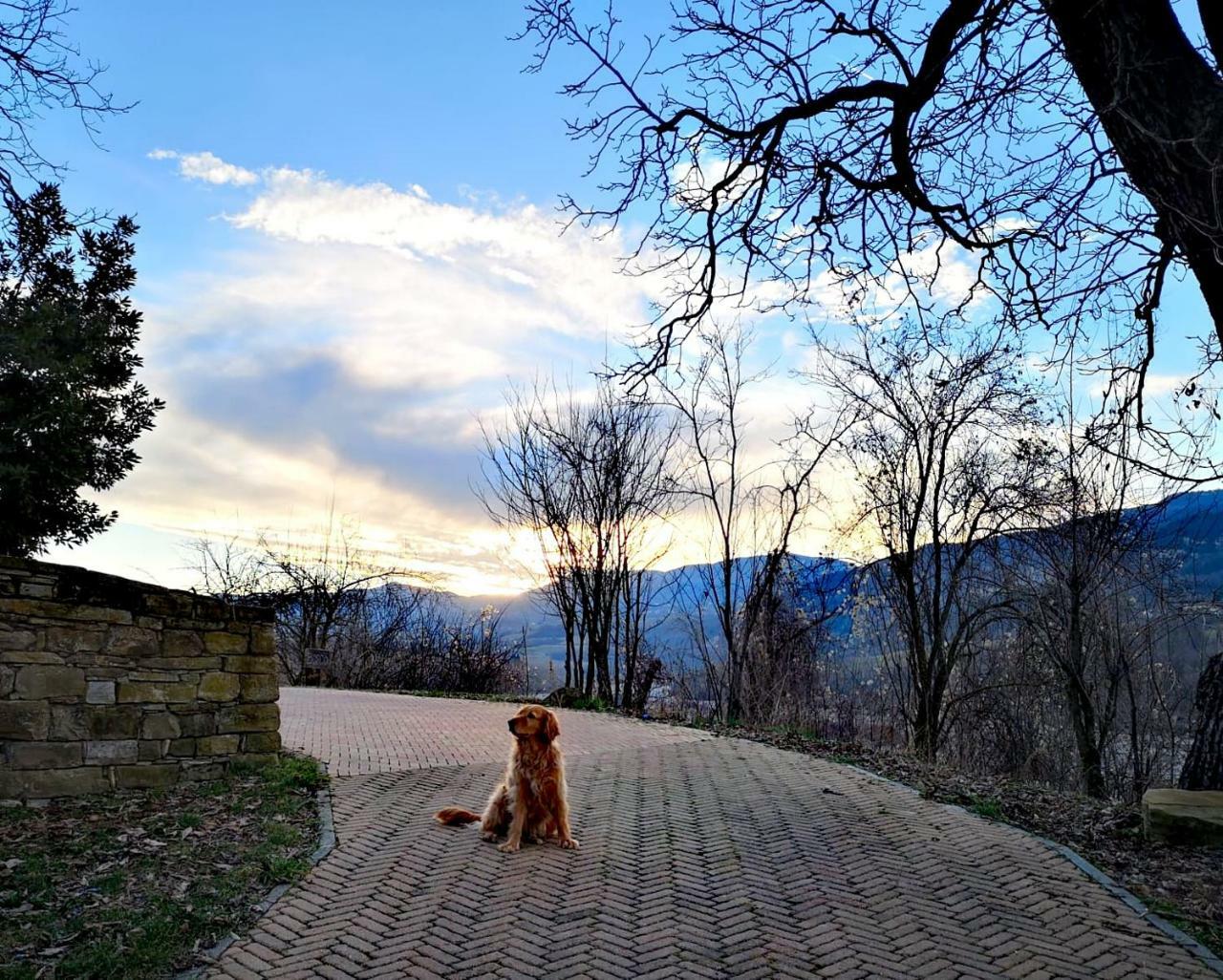 Agriturismo Il Salice Tizzano Val Parma Εξωτερικό φωτογραφία